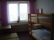 Vilka Zlukov u Veselí nad Lužnicí